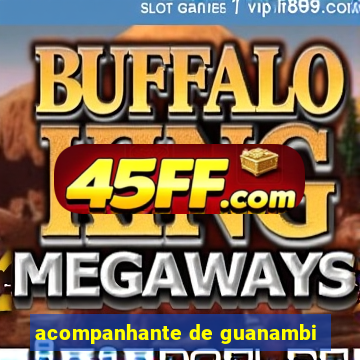 acompanhante de guanambi